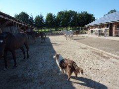 2011 004 mulberryranch