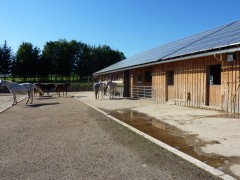 2011 004 mulberryranch