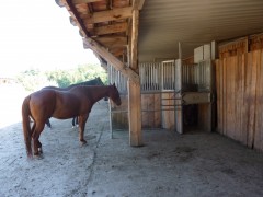 2011 004 mulberryranch