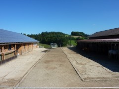 2011 004 mulberryranch