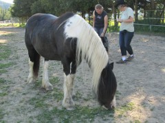 2011 004 mulberryranch