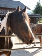 2011 004 mulberryranch