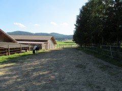 2011 004 mulberryranch