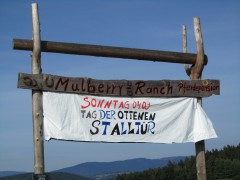 2011 0201 mulberryranch
