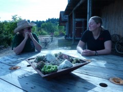 2011 0201 mulberryranch