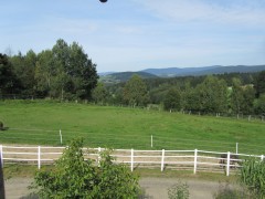 2011 0201 mulberryranch