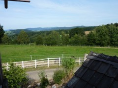 2011 0201 mulberryranch