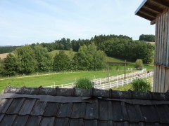 2011 0201 mulberryranch