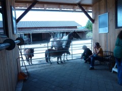 2011 0201 mulberryranch