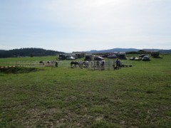 2011 0201 mulberryranch