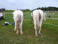 2011 0201 mulberryranch