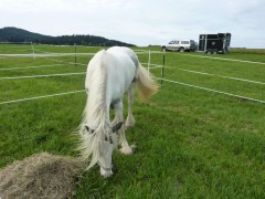 2011 0201 mulberryranch