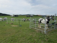 2011 0201 mulberryranch