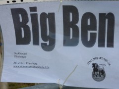 2011 0201 mulberryranch