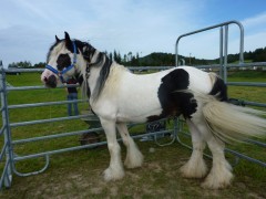 2011 0201 mulberryranch