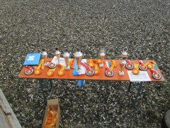 2011 0201 mulberryranch