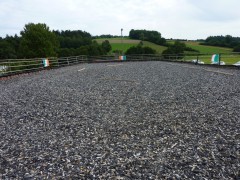 2011 0201 mulberryranch