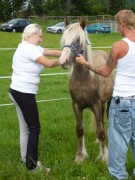 2011 0201 mulberryranch