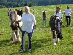 2011 0201 mulberryranch