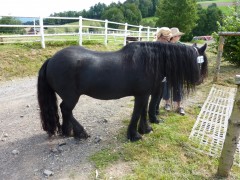 2011 0201 mulberryranch