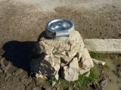 2011 004 mulberryranch