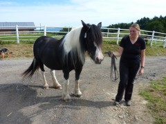 2011 0201 mulberryranch