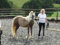 2011 0201 mulberryranch