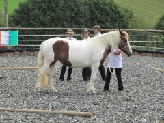 2011 0201 mulberryranch