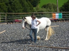 2011 0201 mulberryranch