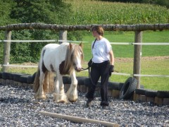 2011 0201 mulberryranch