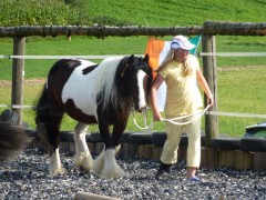 2011 0201 mulberryranch