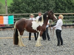 2011 0201 mulberryranch