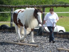 2011 0201 mulberryranch