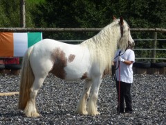 2011 0201 mulberryranch