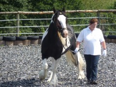 2011 0201 mulberryranch