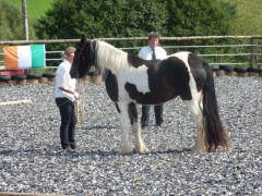 2011 0201 mulberryranch