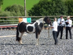 2011 0201 mulberryranch