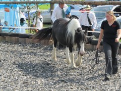 2011 0201 mulberryranch