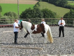 2011 0201 mulberryranch