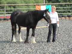 2011 0201 mulberryranch