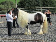 2011 0201 mulberryranch