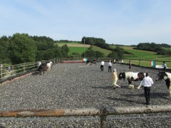 2011 0201 mulberryranch