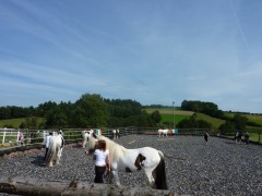 2011 0201 mulberryranch