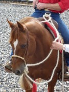 2011 0201 mulberryranch