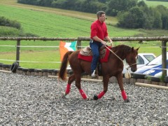 2011 0201 mulberryranch