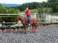 2011 0201 mulberryranch