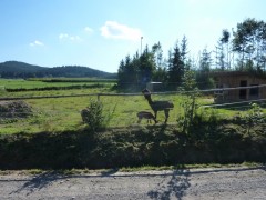 2011 004 mulberryranch