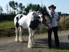 2011 0201 mulberryranch