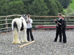 2011 0201 mulberryranch