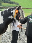 2011 0201 mulberryranch